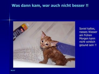 Was dann kam, war auch nicht besser !!




                                 Soviel kaltes,
                                 nasses Wasser
                                 am frühen
                                 Morgen kann
                                 nicht wirklich
                                 gesund sein !!




RG 07
 