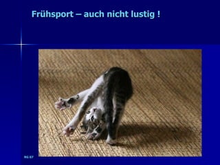 Frühsport – auch nicht lustig !




RG 07
 