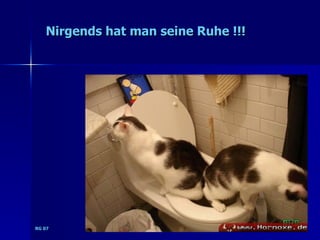 Nirgends hat man seine Ruhe !!!




RG 07
 