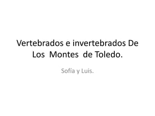 Vertebrados e invertebrados De
Los Montes de Toledo.
Sofía y Luis.
 