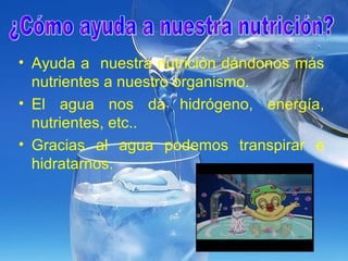 • Ayuda a nuestra nutrición dándonos más
nutrientes a nuestro organismo.
• El agua nos da hidrógeno, energía,
nutrientes, etc..
• Gracias al agua podemos transpirar e
hidratarnos.
 