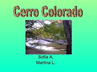 Sofía A. Martina L. Cerro Colorado 