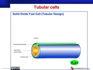 Tubular cells




                Prof.Dr. İbrahim USLU
 