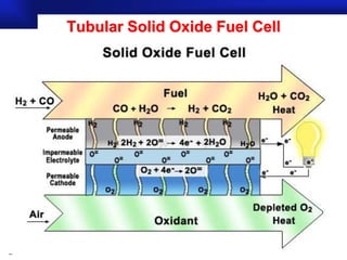Tubular Solid Oxide Fuel Cell




                                Prof.Dr. İbrahim USLU
 