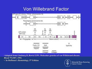Von Willebrand Factor




•Adapted from Ginsburg D, Bowie EJW: Molecular genetics of von Willebrand disease.
Blood 79:2507, 1992.
• In Hoffman’s Hematology, 5th Edition
 
