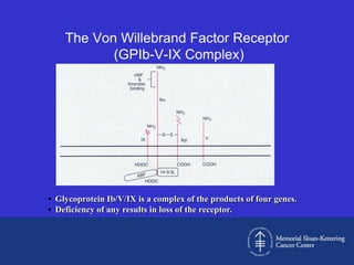 The Von Willebrand Factor Receptor
           (GPIb-V-IX Complex)




• Glycoprotein Ib/V/IX is a complex of the products of four genes.
• Deficiency of any results in loss of the receptor.
 