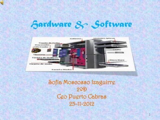Hardware & Software




   Sofía Moscosso Izaguirre
             2ºD
      Ceo Puerto Cabras
          25-11-2012
                              1
 