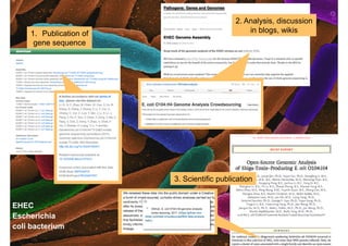 2. Analysis, discussion
in blogs, wikis1. Publication of
gene sequence
3. Scientific publication
EHEC
Escherichia
coli bacterium
 
