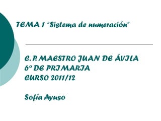 C. P. MAESTRO JUAN DE ÁVILA 6º DE PRIMARIA CURSO 2011/12 Sofía Ayuso TEMA 1 “Sistema de numeración” 