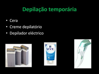 Estrutura, função, imagem