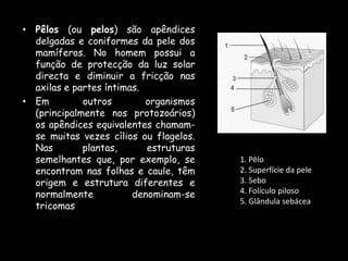 A massagem traz vários benefícios para o organismo: relaxamento dos músculos tensos, alívio da dor muscular, melhora da circulação sanguínea, além de ser um instrumento importante no combate ao stress, tão comum no mundo moderno. A massagem não tem uma acção correctiva sobre as disfunções postural e mecânica que causam a dor. Dores nas costas devem ser tratadas com fisioterapia. São utilizados três movimentos principais na massagem clássica: deslizamento (effleurage), amassamento e tapotagem. As duas primeiras técnicas são as mais usadas nas massagens feitas em casa. A evolução das técnicas básicas da massagem deve ser feita de forma combinada, para que todo o corpo seja sentido como uma unidade orgânica, com início, meio e fim. A técnica do deslizamento superficial constitui o início do procedimento. É feito em linhas combinadas que acompanham os contornos dos grupos musculares e do corpo humano, ou ainda, em círculos, estimulando a circulação sanguínea em direcção ao coração. O contacto da palma da mão com o corpo do paciente deve ser suave, constante, fluida e envolvente. 