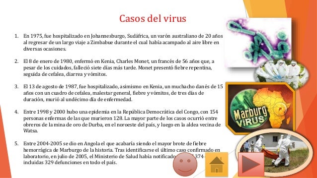 Virus Marburgo