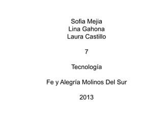 Sofia Mejia
Lina Gahona
Laura Castillo
7
Tecnología
Fe y Alegría Molinos Del Sur
2013
 