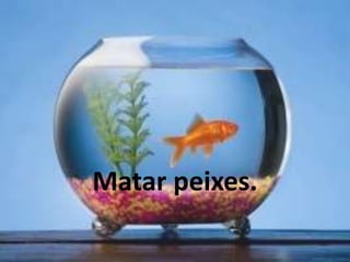Matar peixes.
 