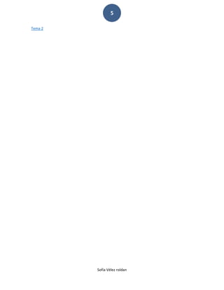 5
Tema 2

Sofía Vélez roldan

 