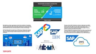SAP and Public Cloud | PDF