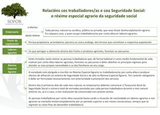 Relacións cos traballadores/as e coa Seguridade Social:
                                  o réxime especial agrario da seguridade social

                a efectos
                                Toda persoa, natural ou xurídica, pública ou privada, que sexa titular dunha explotación agraria.
Empresario
                                En calquera caso, a quen ocupe traballadores/as por conta allea en labores agrarios.
               deste réxime
 Titular da 
                 Persoa propietaria, arrendataria, parceira ou outra análoga, dos terreos que constitúen a respectiva explotación.
explotación

 Labores 
                 Os que persigan a obtención directa dos froitos e produtos agrícolas, forestais ou pecuarios.
 agrarios

                 Están incluídas neste réxime as persoas traballadoras que, de forma habitual e como medio fundamental de vida, 
                 realicen por conta allea labores agrícolas, forestais ou pecuarios e deles obteñan os principais ingresos para 
 Réxime          atender as súas propias necesidades e as dos familiares ao seu cargo.
 Especial 
 Agrario         A sociedade está obrigada a inscribir no Réxime Especial Agrario os traballadores/as por conta allea e produce 
                 efectos de afiliación ao sistema de Seguridade Social e de alta no Réxime Especial Agrario. Ten carácter obrigatorio 
                 e debe ser formulada necesariamente con anterioridade á prestación dos servizos.

                 Dentro dos 6 primeiros días de cada mes natural, os empresarios deberán comunicar á Tesouraría Xeral da 
                 Seguridade Social o número total de xornadas prestadas por cada persoa traballadora durante o mes natural 
                 anterior ou, se é o caso, a non realización da comunicada con carácter previo.

                 As persoas traballadoras por conta allea causarán baixa cando a situación de inactividade en labores agrarios e non 
                 agrarios se manteña ininterrompidamente por un período superior a seis meses consecutivos, sempre que se 
                 ingresen as cotas fixas do devandito traballador/a.




                                                           - 112 -
 