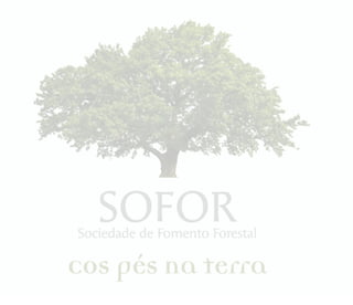 SOFOR 1