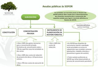 Axudas públicas ás SOFOR

                                                                    As sociedades con inscrición previa no Rexistro das 
                                                                  SOFOR poderán obter axudas para o desenvolvemento 
                                                                     das actuacións necesarias para a consecución dos 
                          SUBVENCIÓNS                             requisitos esixidos para lograr a inscrición definitiva no 
                                                                                    Rexistro de SOFOR.


                                                                                                         Inscrición definitiva:
                                                                                                           outros incentivos
                                                         INSTRUMENTO DE 
                         CONCENTRACIÓN
CONSTITUCIÓN                                             PLANIFICACIÓN DA 
                            PRIVADA
                                                         XESTIÓN FORESTAL



               • Ata o 100% dos gastos necesarios           • Ata o 100% dos             • As SOFOR que dispoñan do 
               para a concentración privada.                custos de                    instrumento vixente e aprobado 
               Perímetros de concentración onde o           redacción.                   terán prioridade no acceso ás 
               70% da superficie sexa da sociedade ou                                    subvencións que se poidan convocar 
               dos socios.                                                               (plantacións, traballos silvícolas e 
                                                                                         preventivos e gastos de xestión).
               • Ata o 100% dos custos de redacción 
               do proxecto de obras e infraestruturas                                    • Terán carácter preferente as 
               comúns.                                                                   SOFOR que teñan desenvolvido un 
                                                                                         proceso de concentración parcelaria. 
               • Ata o 70% dos custos de execución de 
               obras




                                                         - 28 -
 
