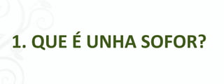 1. QUE É UNHA SOFOR?




               -5-
 