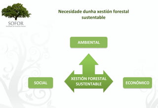 Necesidade dunha xestión forestal 
                   sustentable




                  AMBIENTAL




               XESTIÓN FORESTAL 
SOCIAL           SUSTENTABLE            ECONÓMICO




                    -6-
 