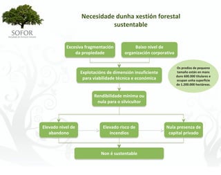 Necesidade dunha xestión forestal 
                              sustentable


            Excesiva fragmentación            Baixo nivel de 
                da propiedade            organización corporativa


                                                                    Os predios de pequeno 
                    Explotacións de dimensión insuficiente           tamaño están en mans 
                                                                    duns 600.000 titulares e 
                     para viabilidade técnica e económica           ocupan unha superficie 
                                                                    de 1.200.000 hectáreas.


                          Rendibilidade mínima ou 
                           nula para o silvicultor




Elevado nivel de               Elevado risco de               Nula presenza de 
   abandono                       incendios                    capital privado



                              Non é sustentable




                                      -7-
 