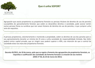 Que é unha SOFOR?




Agrupación que asocia propietarios ou propietarias forestais ou persoas titulares de dereitos de uso de parcelas 
susceptibles  de  aproveitamento  forestal,  que  ceden  os  devanditos dereitos  á sociedade,  pode  asociar  tamén 
outras persoas físicas ou xurídicas que non sexan titulares de dereitos de uso de parcelas, e que cumpren unha 
serie de requisitos.



A persoas propietarias, voluntariamente e mantendo a propiedade, ceden os dereitos de uso das parcelas para o 
seu  aproveitamento  durante  un  mínimo  de  25  anos  a  unha  sociedade  de  responsabilidade  limitada.  Nas  Sofor 
poderá entrar  capital  privado,  que  en  ningún  caso  poderá superar  o  49%,  coa  intención  de  que  o  control  da 
sociedade estea nas mans dos propietarios forestais.



 Decreto 45/2011, do 10 de marzo, polo que se regula o fomento das agrupacións de propietarios forestais, os 
          requisitos e cualificación das sociedades de fomento forestal e a creación do seu rexistro
                                     (DOG nº 58, do 23 de marzo de 2011)




                                                         -9-
 