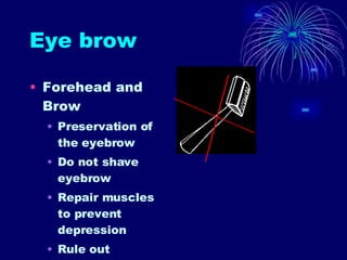 Eye brow Forehead and Brow Preservation of the eyebrow Do not shave eyebrow Repair muscles to prevent depression Rule out fractures 