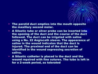 The parotid duct empties into the mouth opposite the maxillary second molar. A Silastic tube or silver probe can be inserted into the opening of the duct and the course of the duct followed. The duct can be irrigated with saline using a No. 22 Angiocath sleeve. The appearance of saline in the wound indicates that the duct is injured. The proximal end of the duct can be identified in the wound expressing secretion of saliva. A Silastic catheter is placed in the duct and the wound repaired with fine sutures. The tube is left in for a 2-week period, as tolerated 