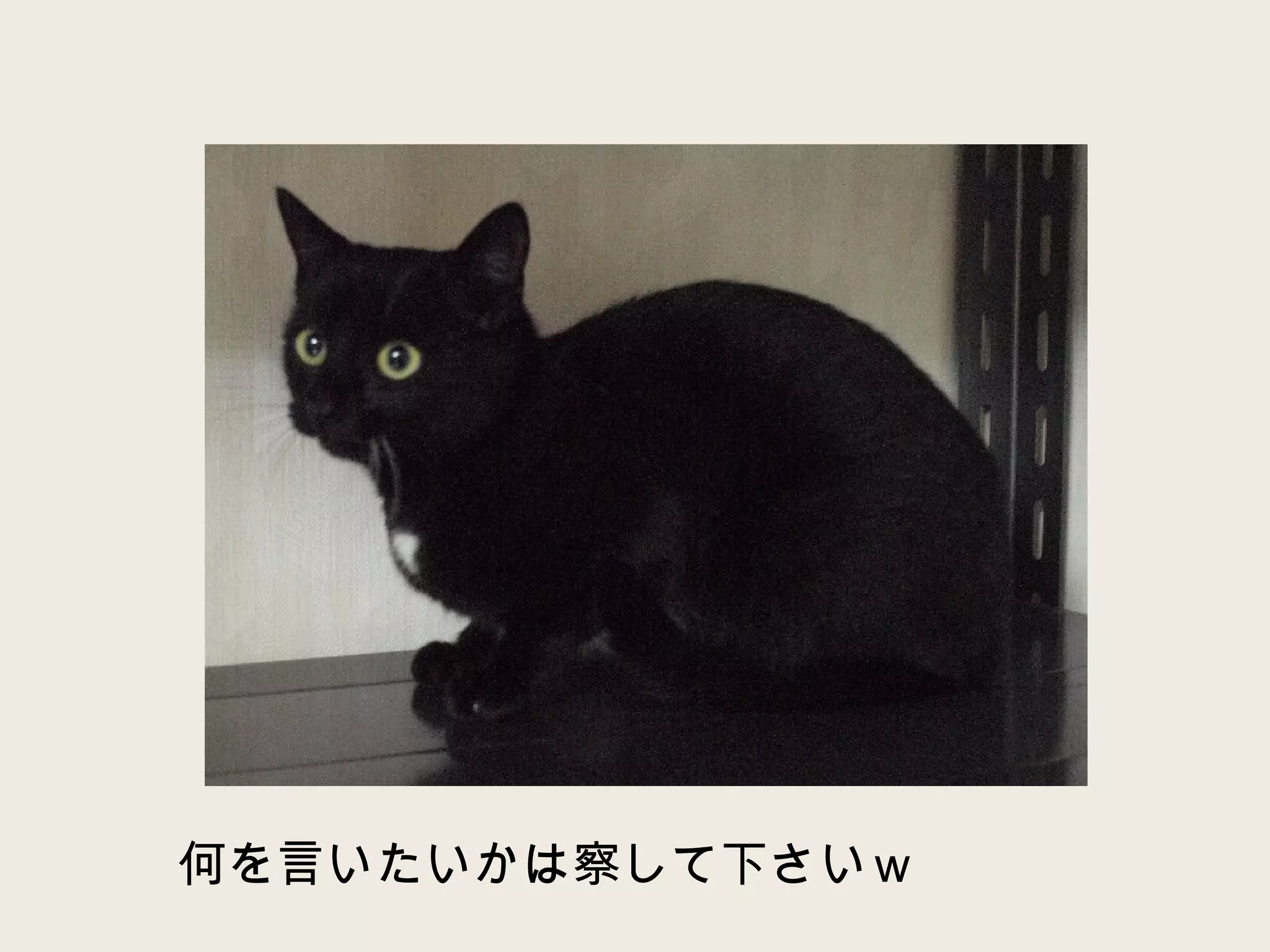 何を言いたいかは察して下さいｗ 