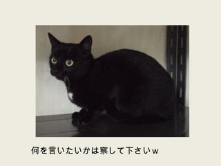 何を言いたいかは察して下さいｗ 