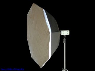 Harry Hilders Fotografie
 