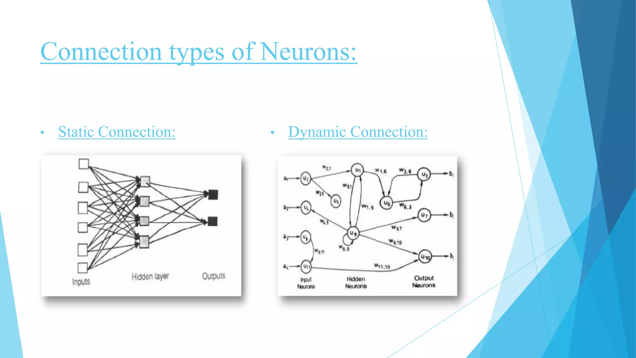 Connection types of Neurons:
• Static Connection: • Dynamic Connection:
 
