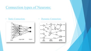 Connection types of Neurons:
• Static Connection: • Dynamic Connection:
 