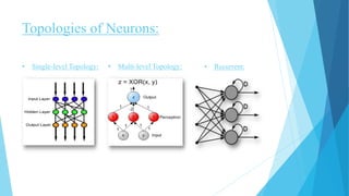 Topologies of Neurons:
• Single-level Topology: • Multi-level Topology: • Recurrent:
 