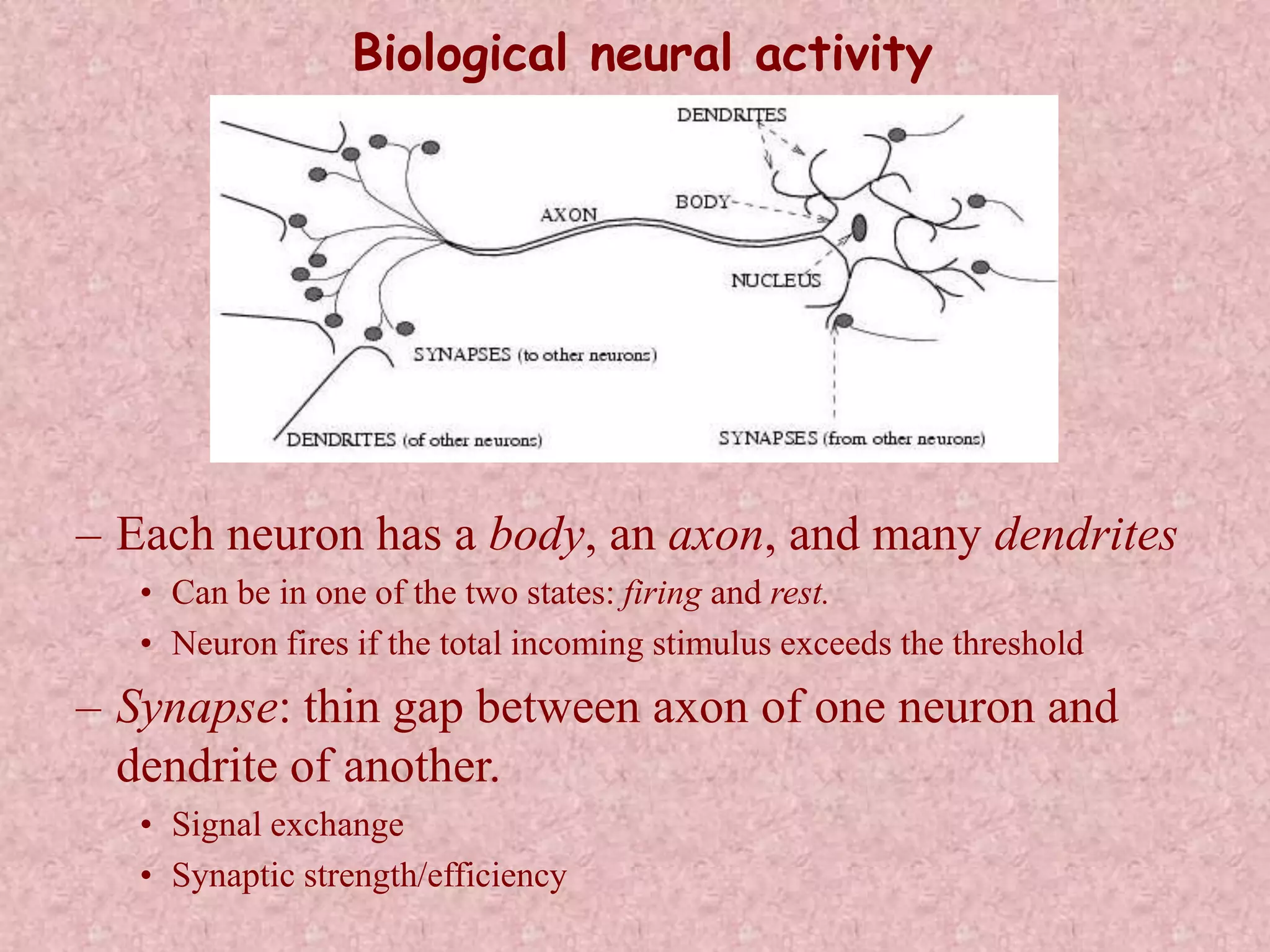 Biological neural activity 
– Each neuron has a body, an axon, and many dendrites 
• Can be in one of the two states: firing and rest. 
• Neuron fires if the total incoming stimulus exceeds the threshold 
– Synapse: thin gap between axon of one neuron and 
dendrite of another. 
• Signal exchange 
• Synaptic strength/efficiency 
 