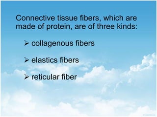 Connective tissue fibers, which are made of protein, are of three kinds: collagenous fibers
