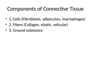 Comprehensive Overview of Soft Connective Tissue: Types, Structure, and ...