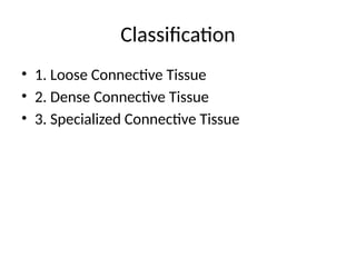 Comprehensive Overview of Soft Connective Tissue: Types, Structure, and ...