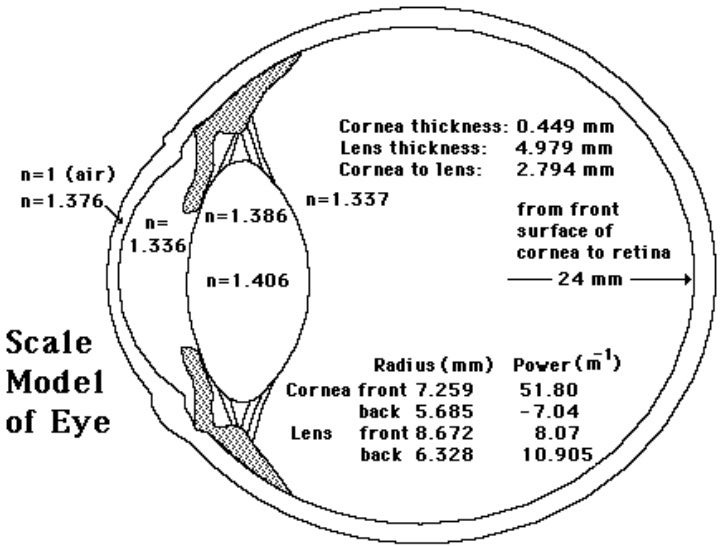 Soft contact lens 345.pd f 3