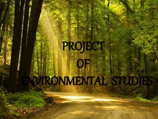 PROJECT
OF
ENVIRONMENTAL STUDIES
 