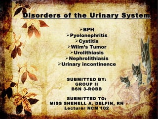 <ul><li>Disorders of the Urinary System </li></ul><ul><li>BPH </li></ul><ul><li>Pyelonephritis </li></ul><ul><li>Cystitis ...