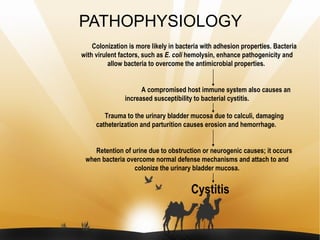 PATHOPHYSIOLOGY Colonization is more likely in bacteria with adhesion properties. Bacteria with virulent factors, such as ...