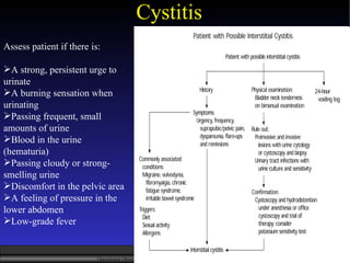 Cystitis <ul><li>Assess patient if there is: </li></ul><ul><li>A strong, persistent urge to urinate  </li></ul><ul><li>A b...