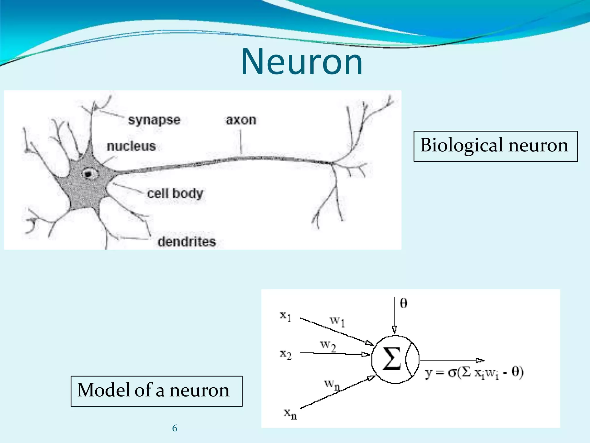 6
Neuron
Biological neuron
Model of a neuron
 