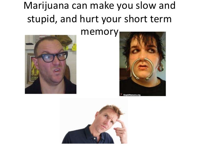 Can Dogs Smell Pot On Someone Can Dogs Smell Pot On Someone