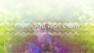 Environmental,	
  Health	
  &	
  Safety	
  
 