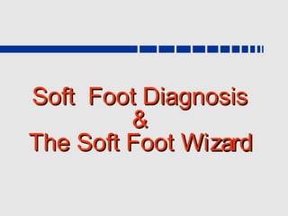 Soft Foot Diagnosis
         &
The Soft Foot Wizard
 