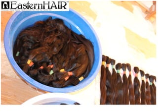 Collection of Gorgeous Natural Finest Soft Remy Human Hair in Virgin Brown Colors
