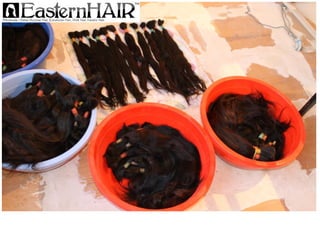 Longest Natural Raw Human Hair in Virgin Dark Color from EasternHAIR Collection